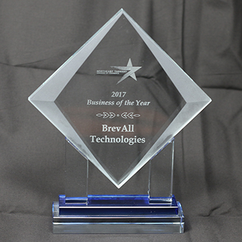 2017 Northeast Tarrant Chamber Business of the Year